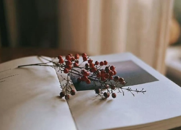 第三者破坏婚姻有罪吗